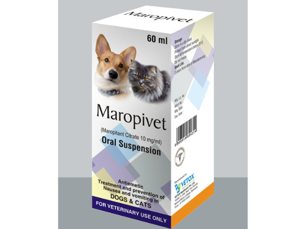 image of pet