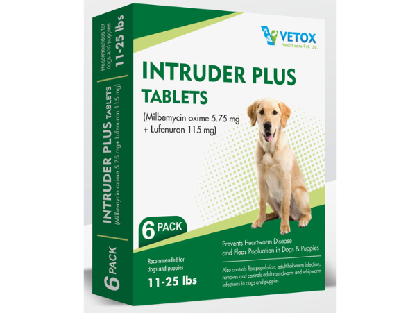 image of pet