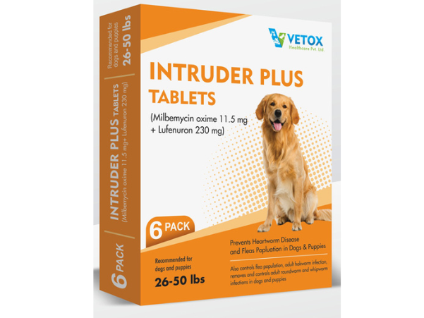 image of pet