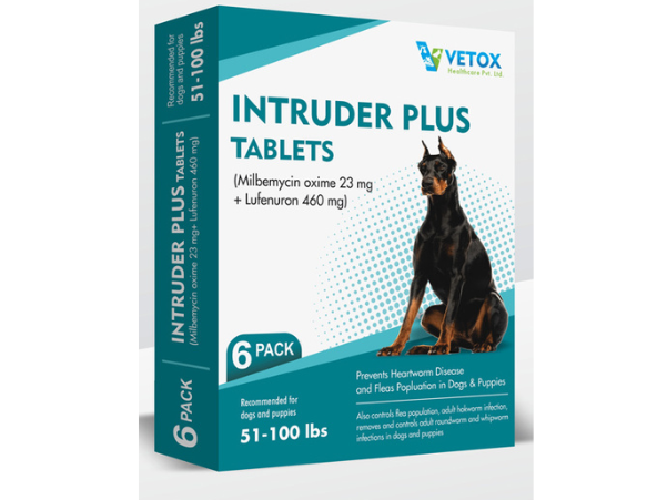 image of pet