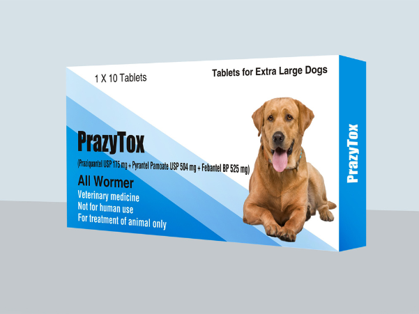 image of pet
