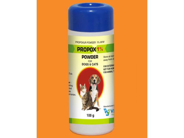 image of pet