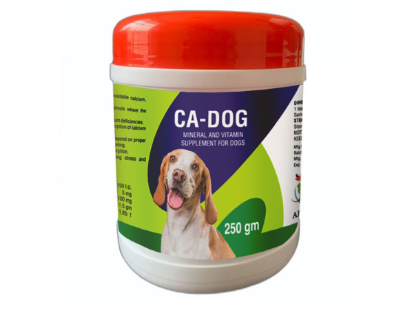 image of pet