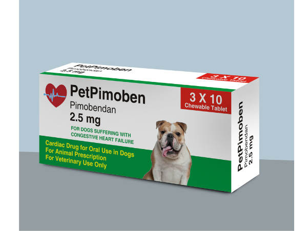 image of pet