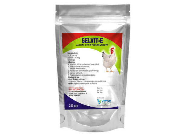 image of pet