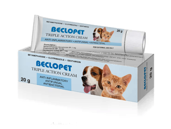 image of pet