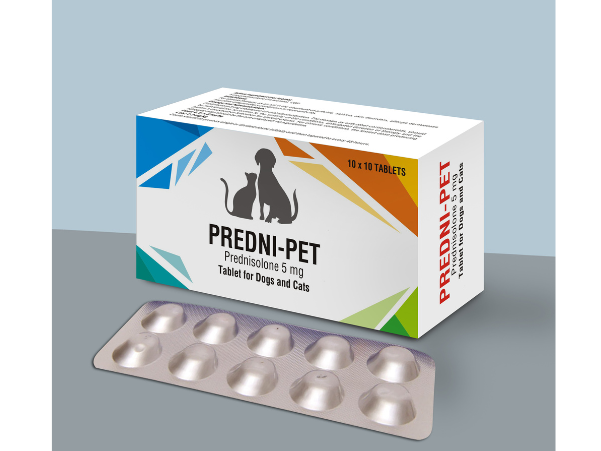 image of pet