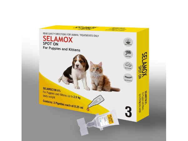 image of pet