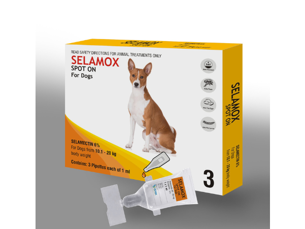 image of pet