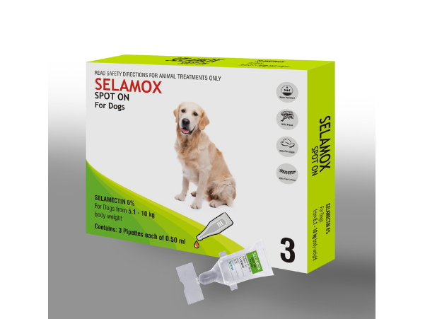 image of pet
