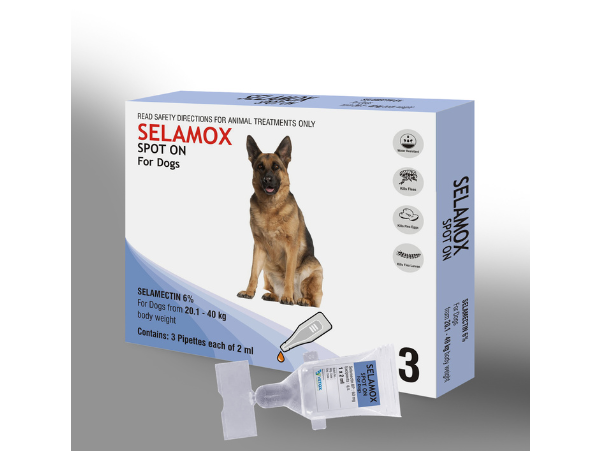 image of pet