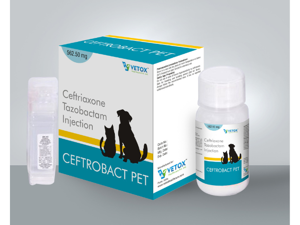 image of pet