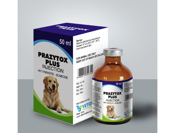 image of pet